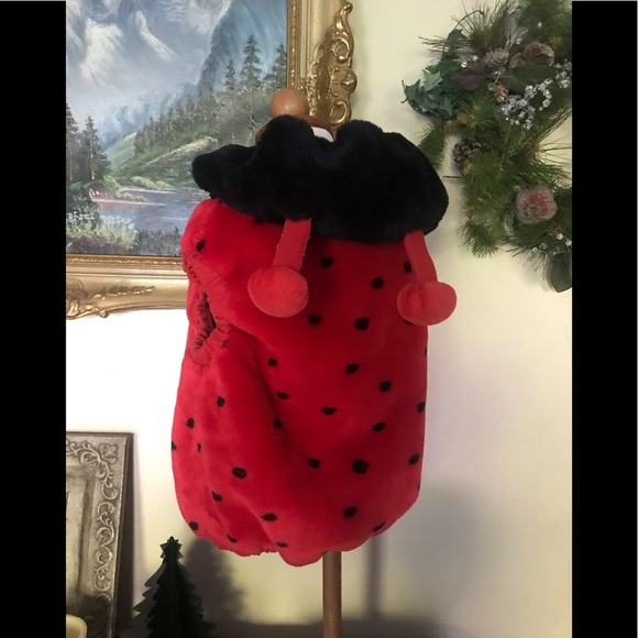 1999 Lady Bug Costume 12-24 Months FINAL SALE - Picture 8 of 8
